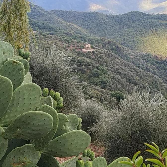 La grotta Appartement Apricale Buitenkant foto